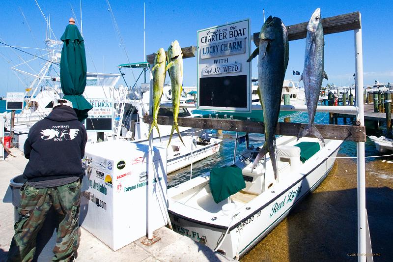 20090204_120319 D3 P1 5100x3400 srgb.jpg - A Good Day's Catch, Key West